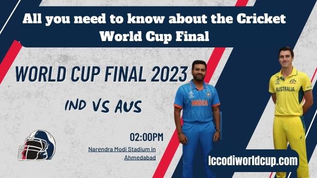 Cricket World Cup Final 2023