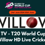 Willow TV Live